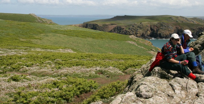 things to do in pembrokeshire, skomer island