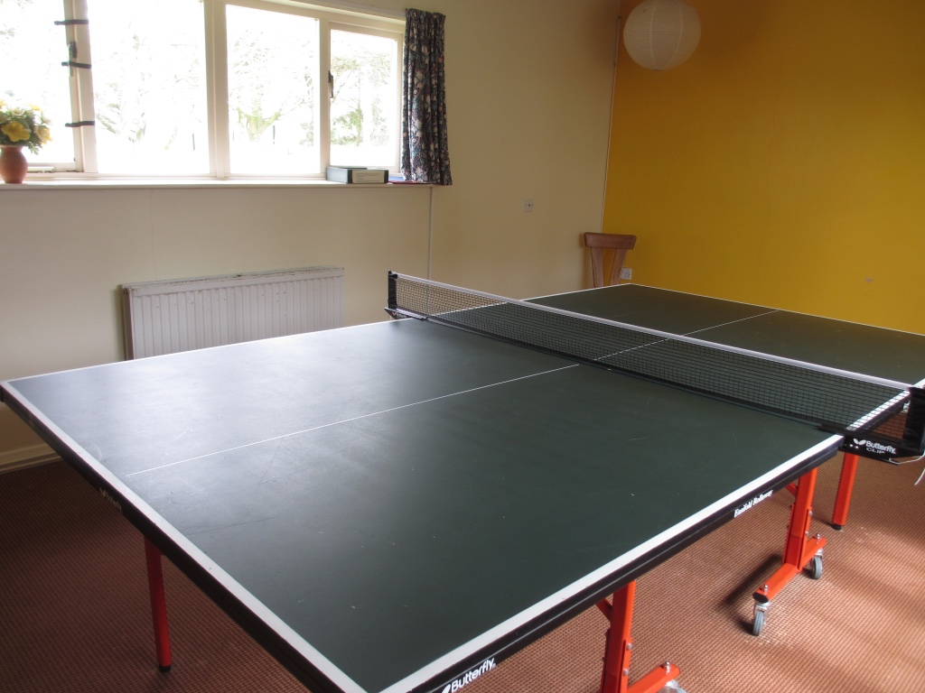 Table tennis room